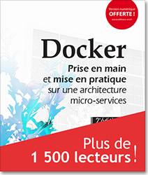 Docker - Prise en main et mise en pratique sur une architecture micro-services (Seconde Edition)